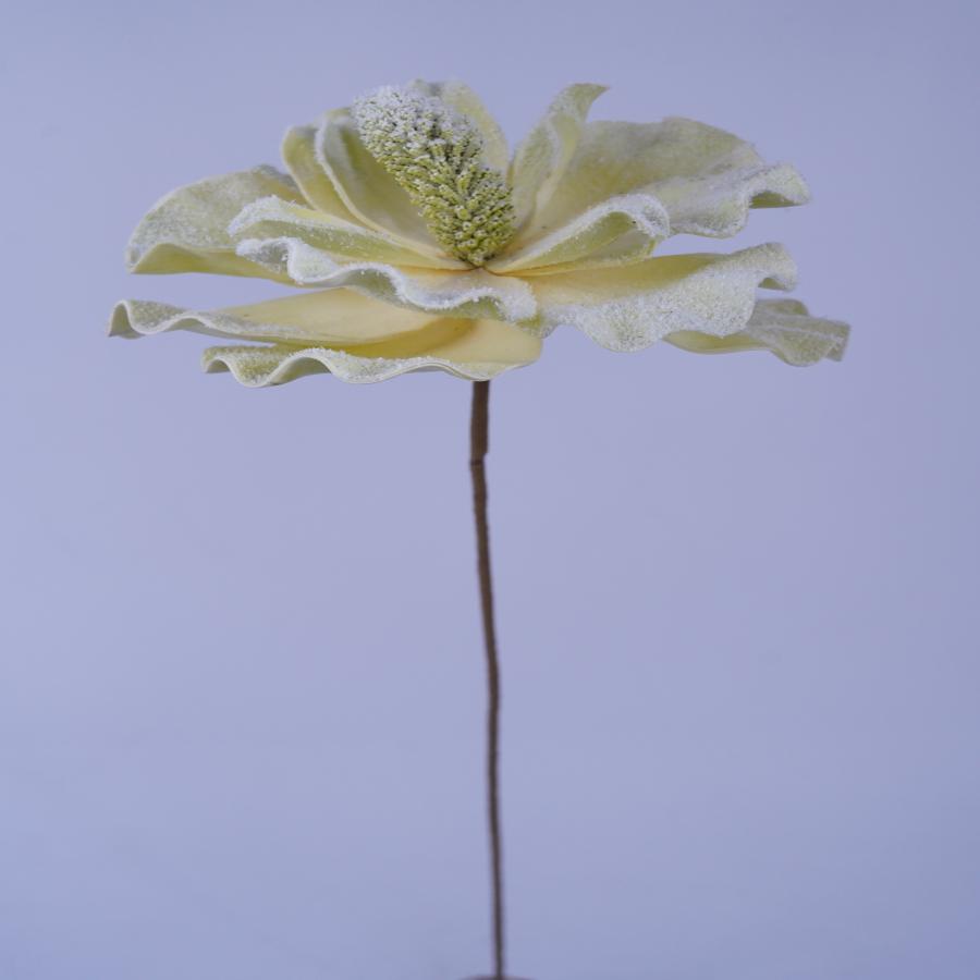 022032849059-galerias el triunfo