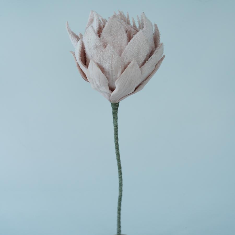 022032849060-galerias el triunfo