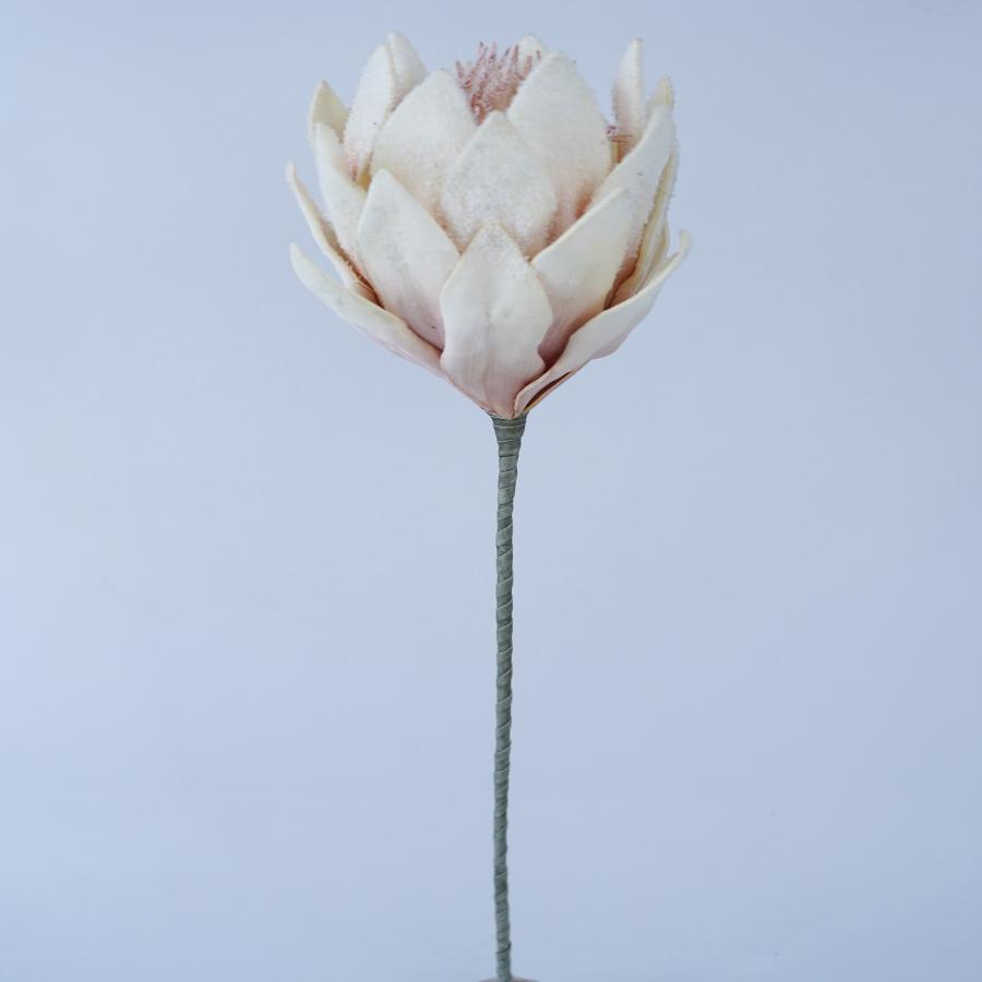 022032849061-galerias el triunfo