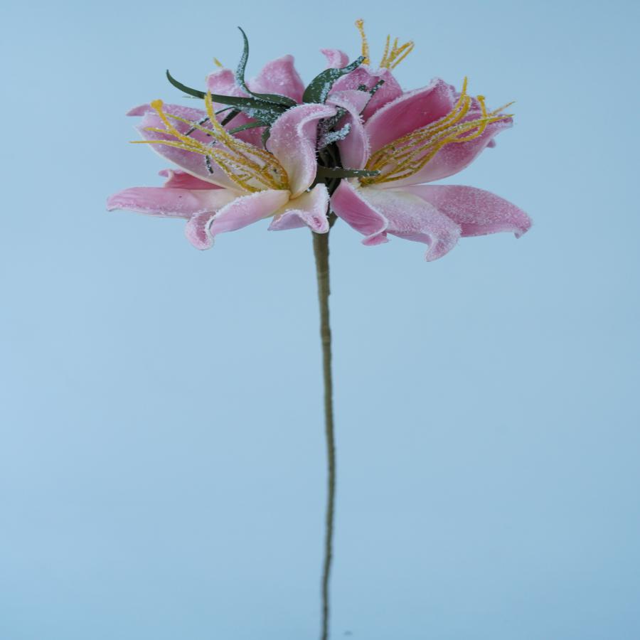 022032849062-galerias el triunfo