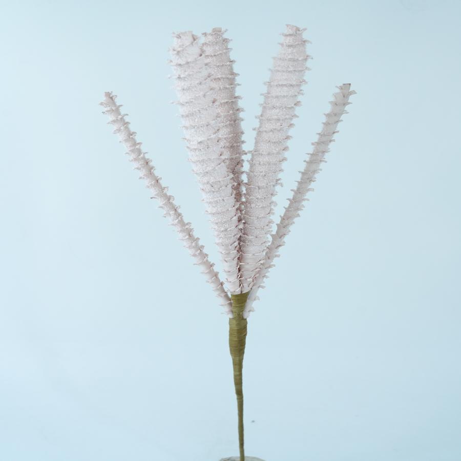 022032849064-galerias el triunfo