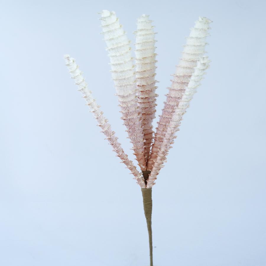 022032849065-galerias el triunfo