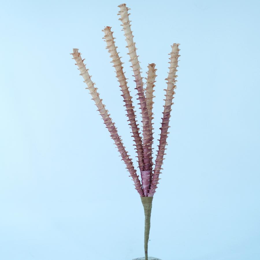 022032849066-galerias el triunfo