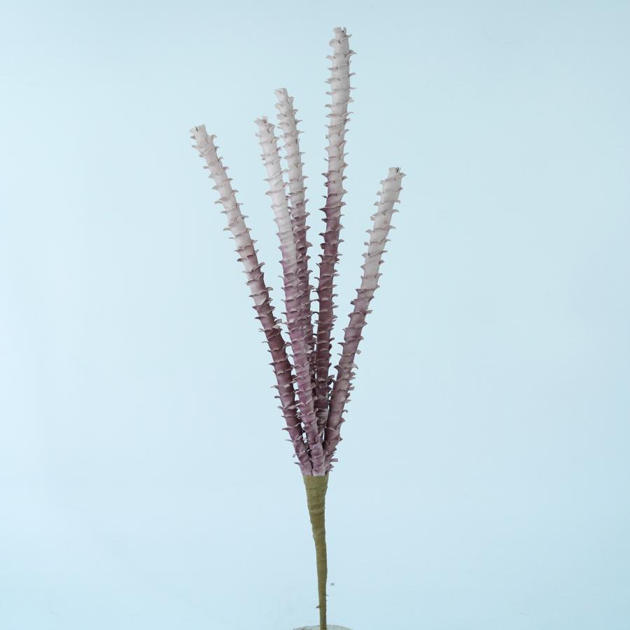 022032849067-galerias el triunfo