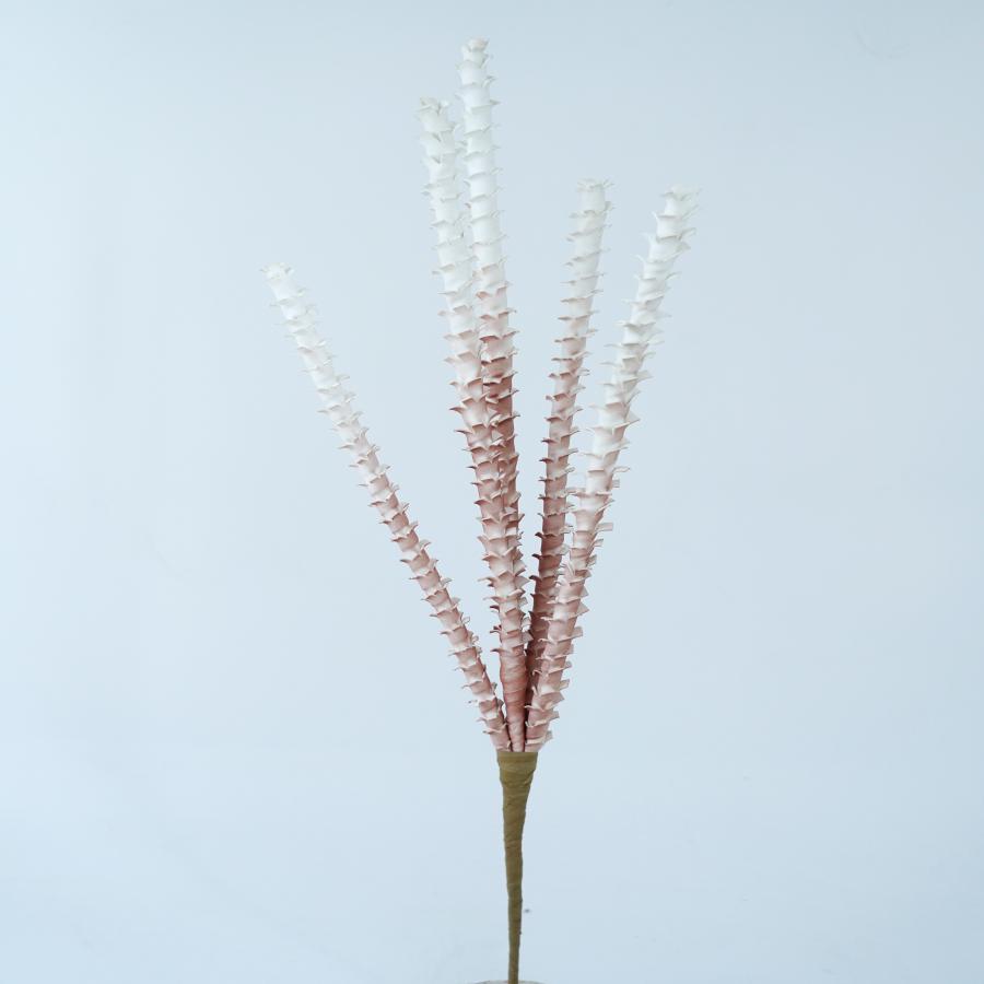 022032849068-galerias el triunfo