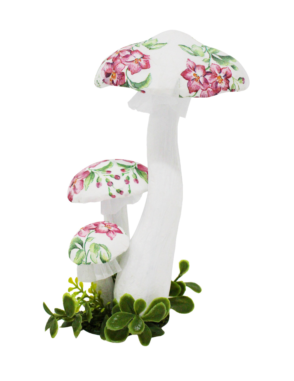 049071658049-galerias el triunfo