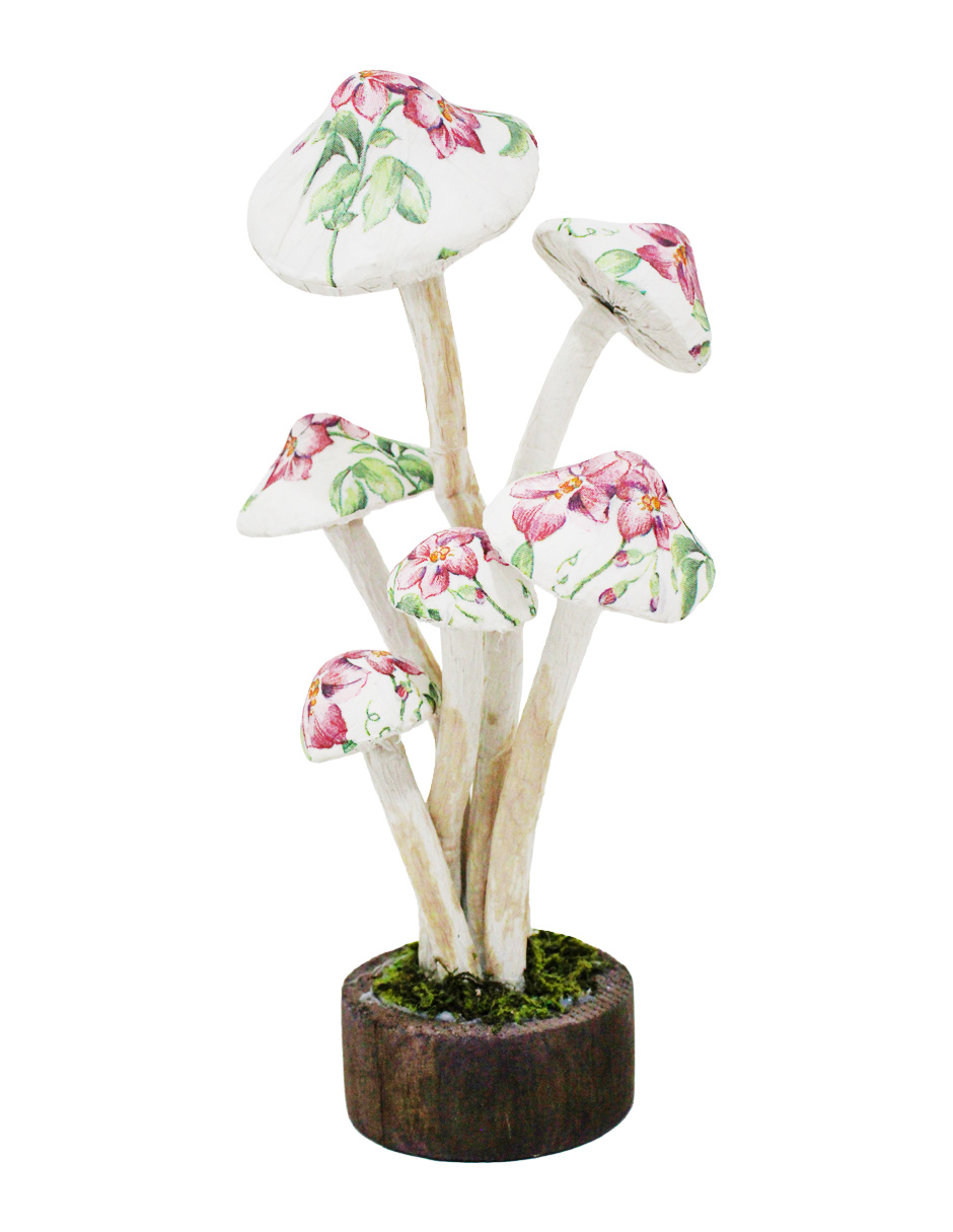 049071658050-galerias el triunfo