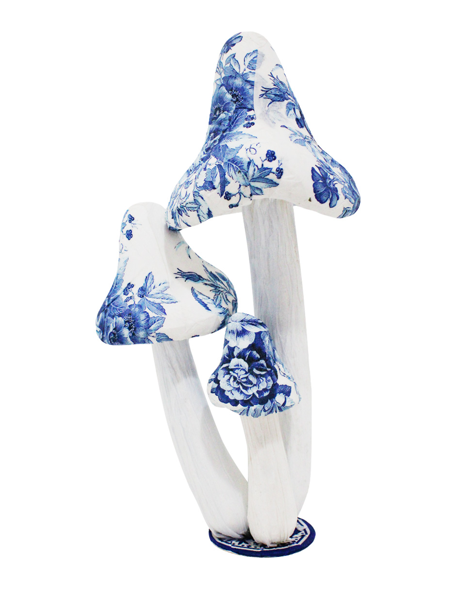 049071658071-galerias el triunfo