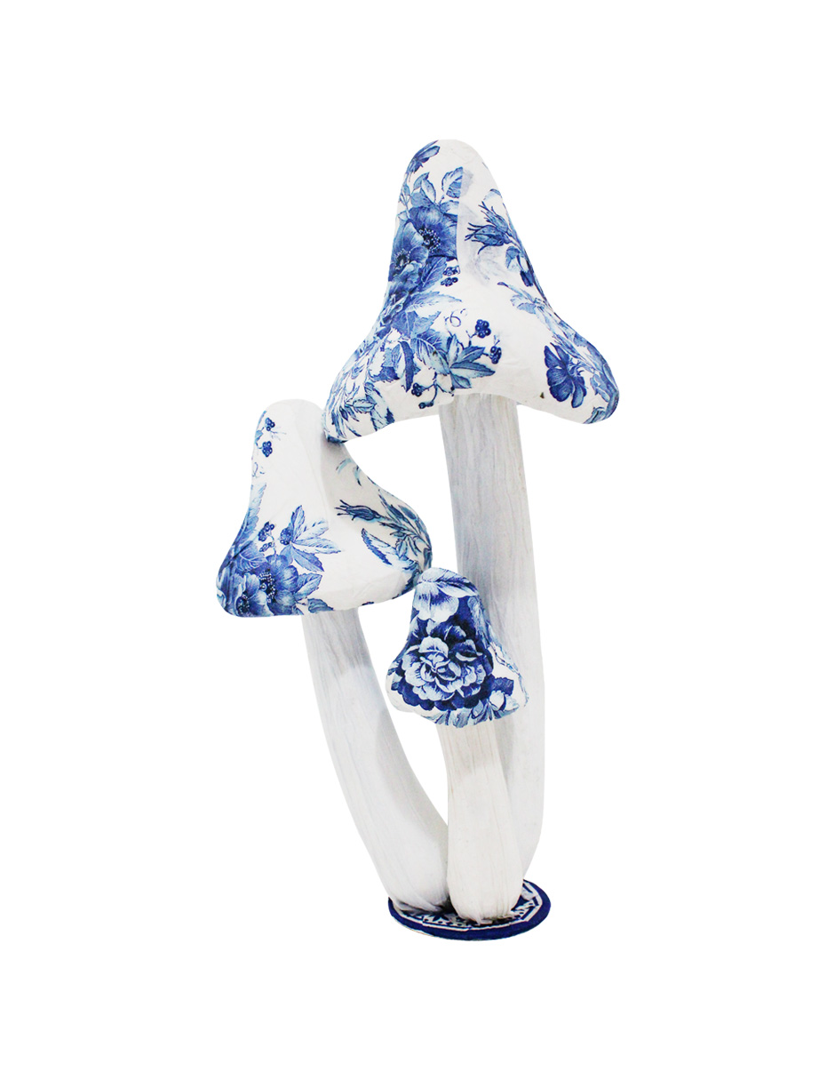 049071658072-galerias el triunfo