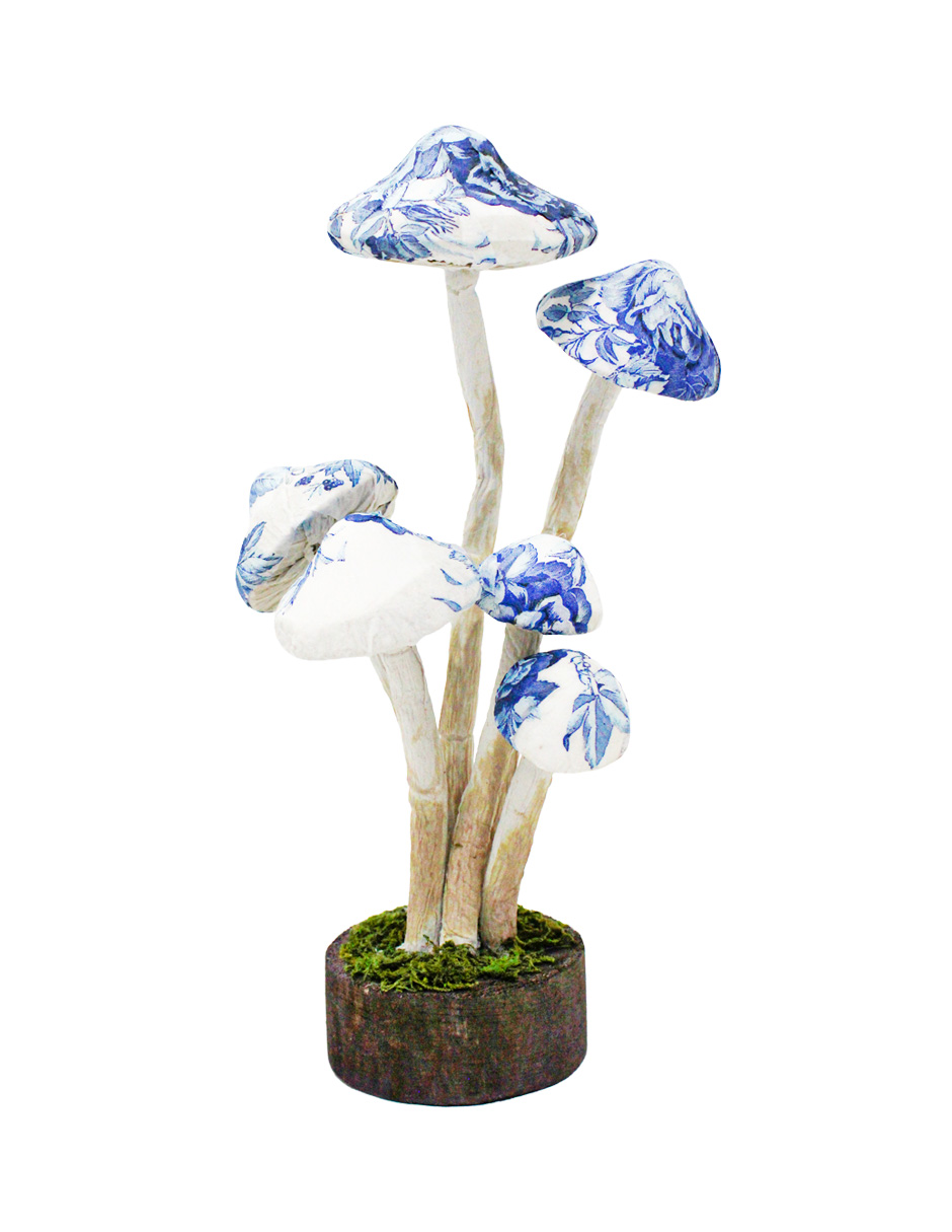 049071658077-galerias el triunfo