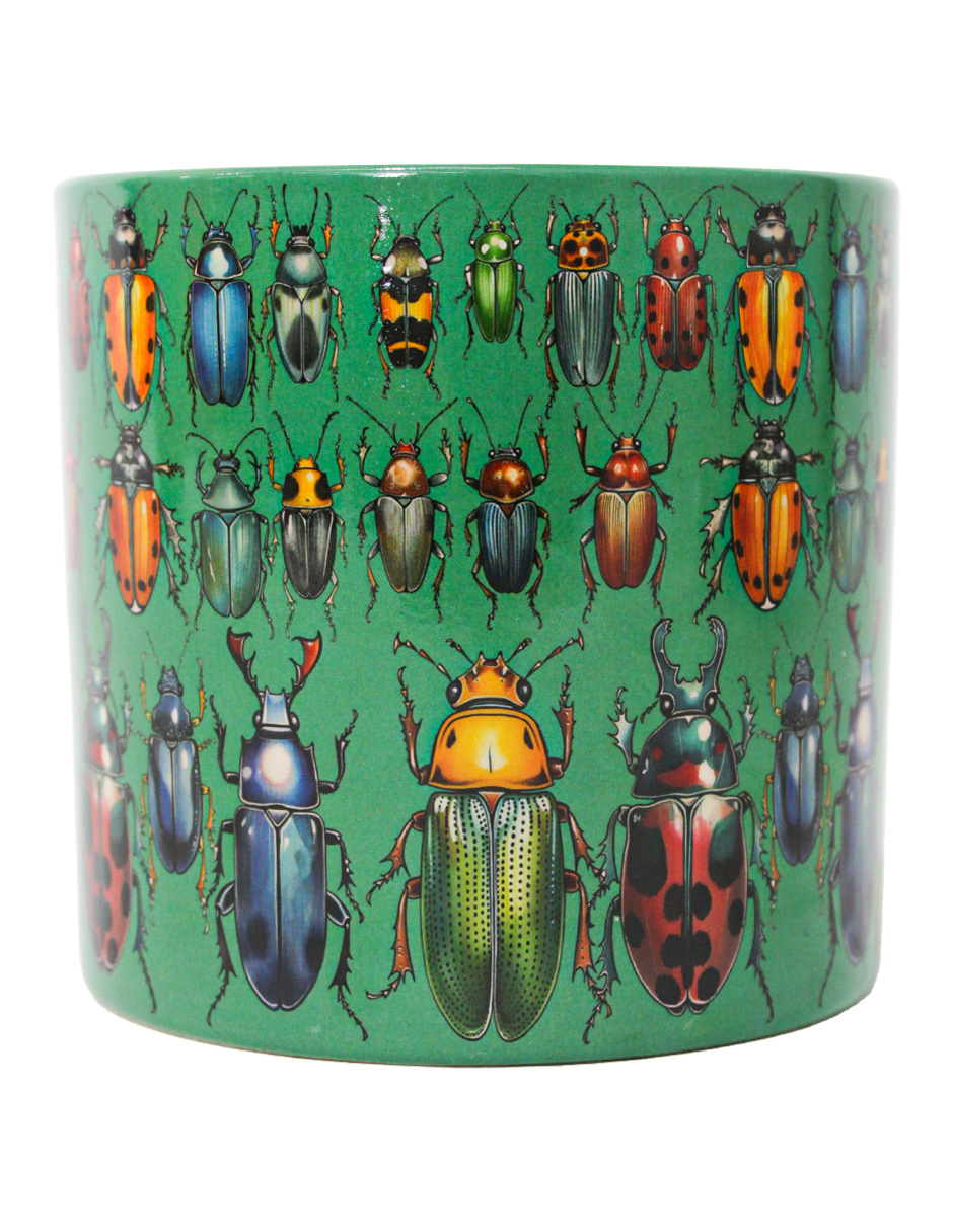 093072024244-galerias el triunfo