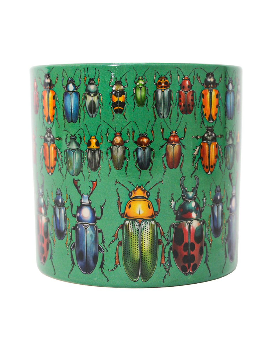 093072024245-galerias el triunfo