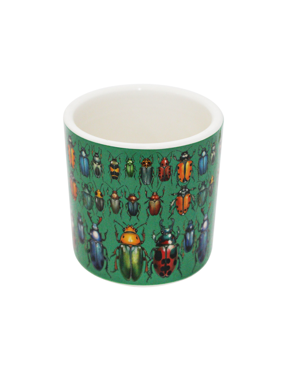 093072024246-galerias el triunfo