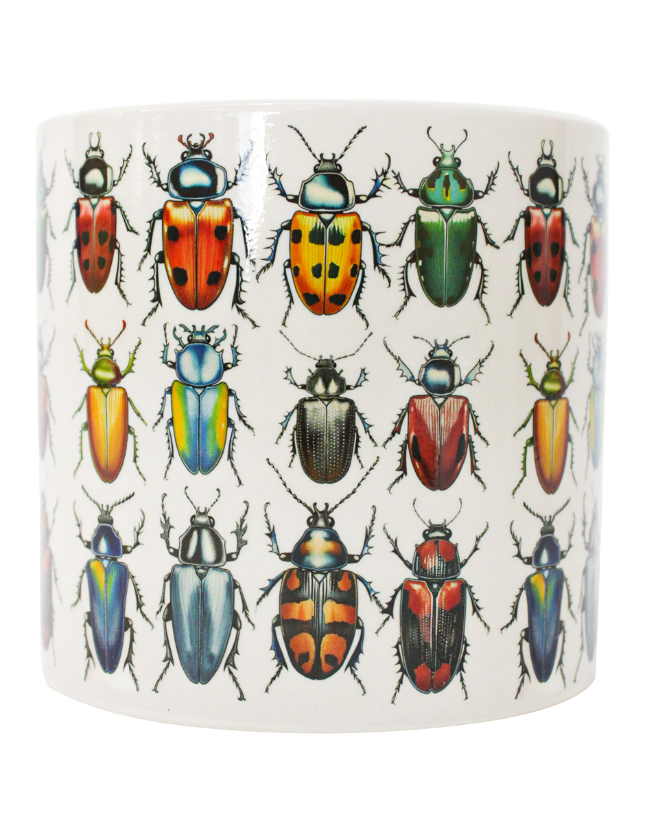 093072024247-galerias el triunfo