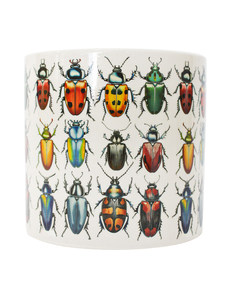 093072024248-galerias el triunfo