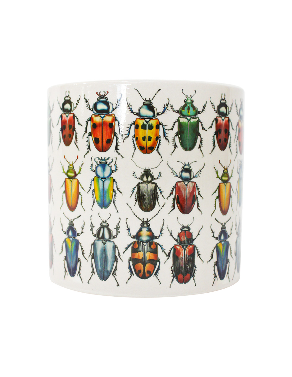 093072024249-galerias el triunfo