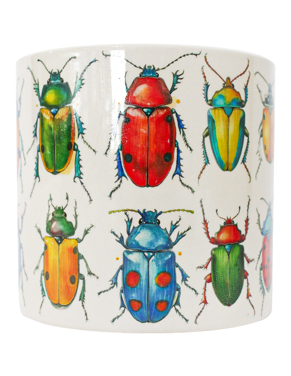 093072024250-galerias el triunfo