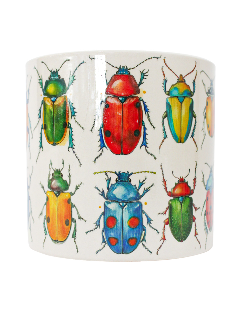 093072024251-galerias el triunfo