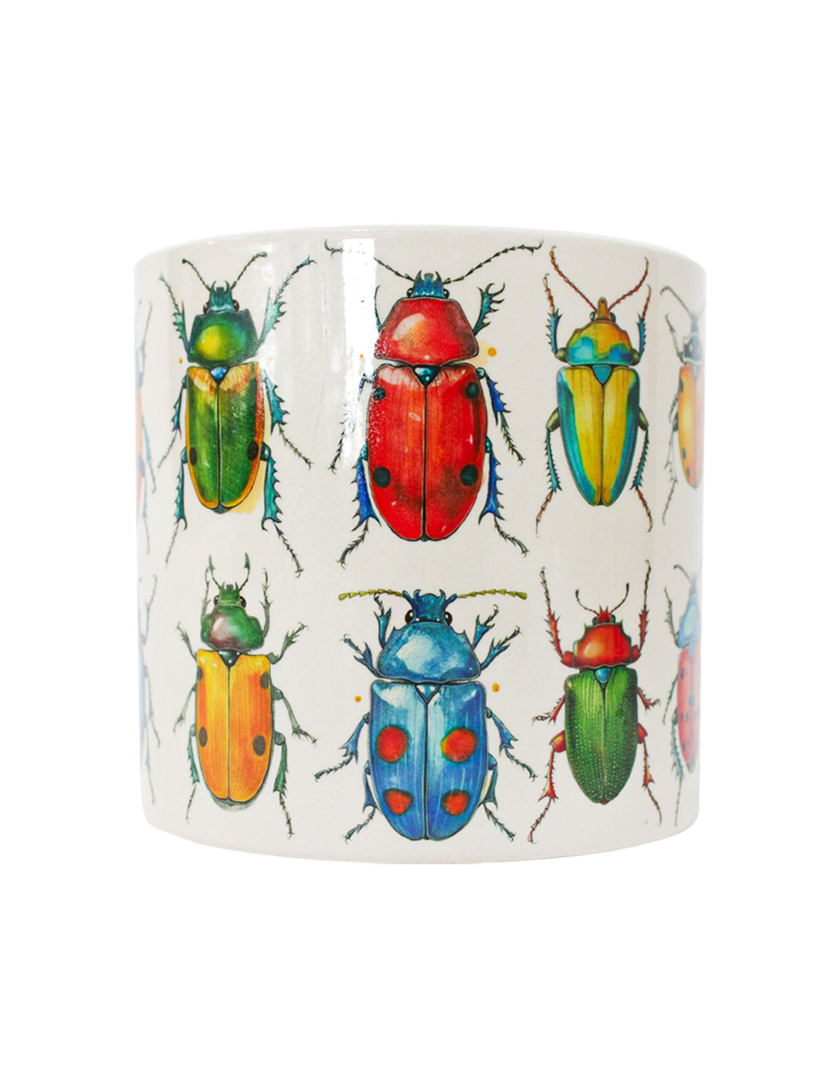 093072024252-galerias el triunfo