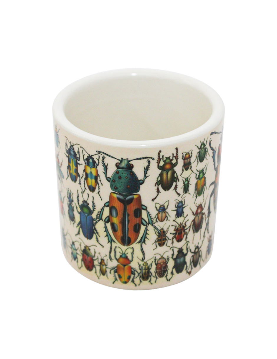 093072024254-galerias el triunfo