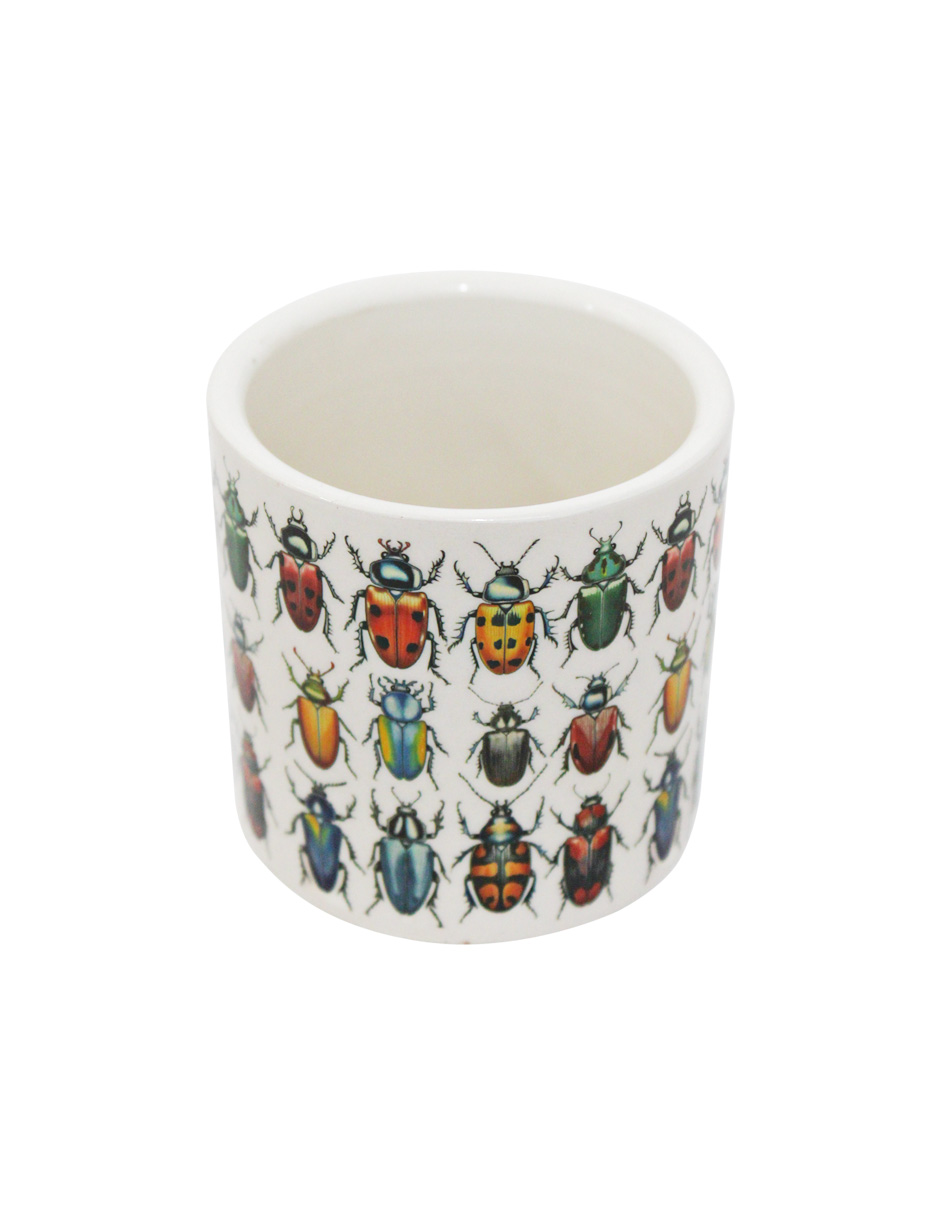 093072024255-galerias el triunfo