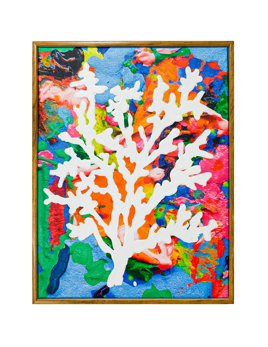 111071997085-galerias el triunfo