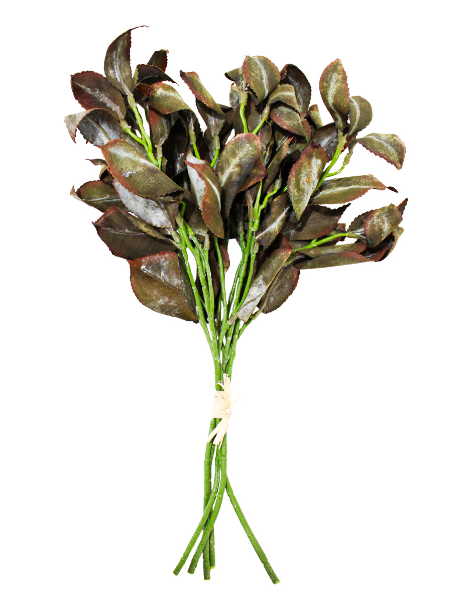 301001736901-galerias el triunfo