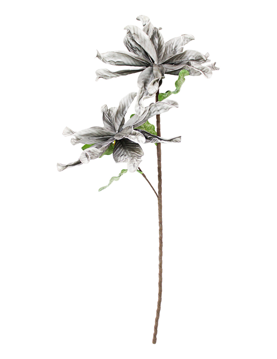 301001736987-galerias el triunfo