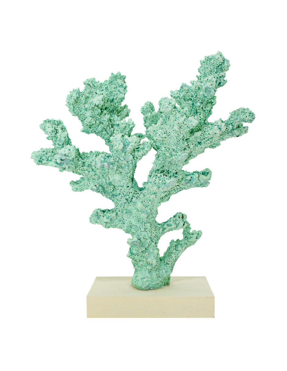 207072786084-galerias el triunfo