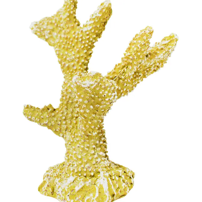 207072786107-galerias el triunfo