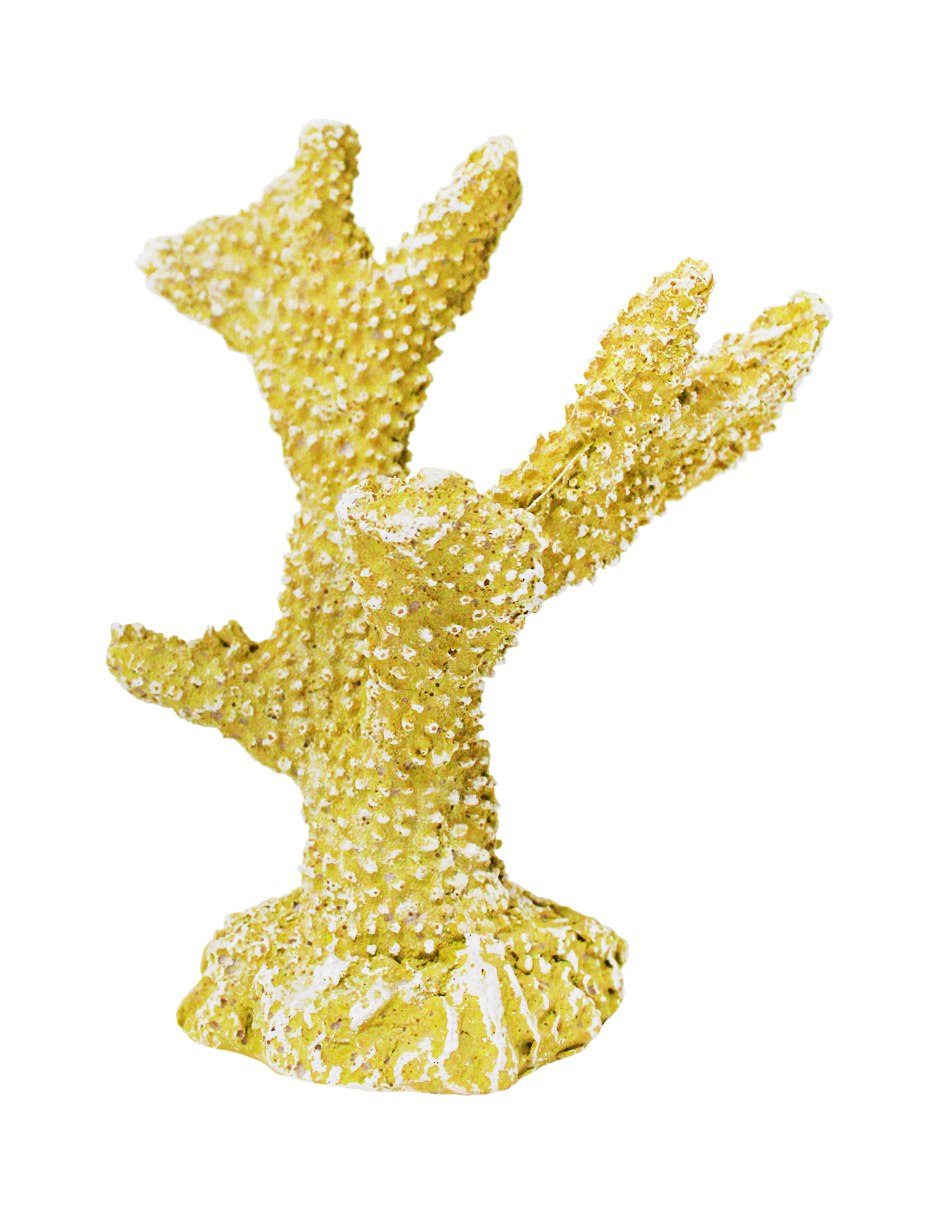 207072786107-galerias el triunfo