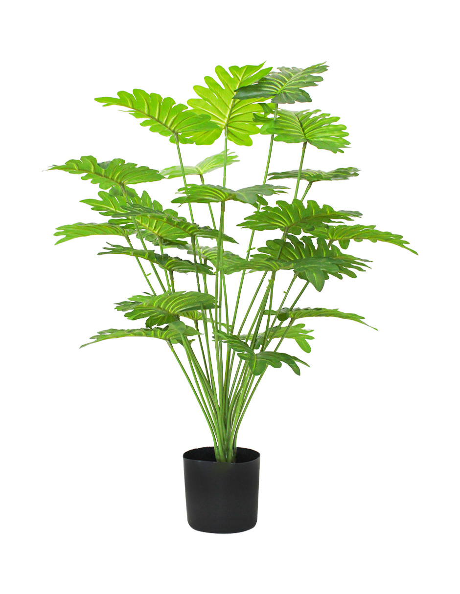 221001736220-galerias el triunfo