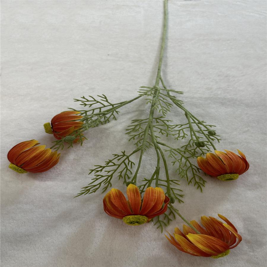 303001736874-galerias el triunfo