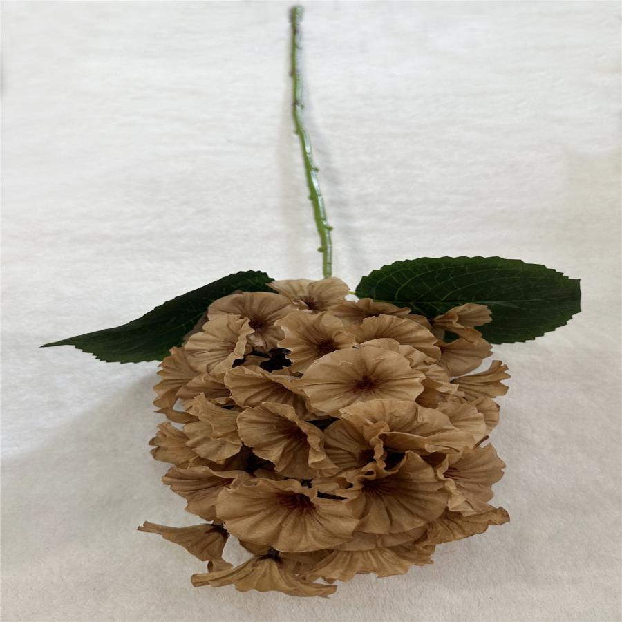 303001736879-galerias el triunfo