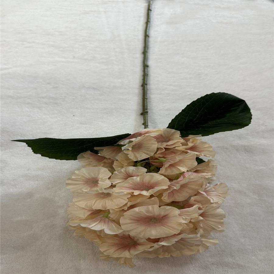 303001736882-galerias el triunfo