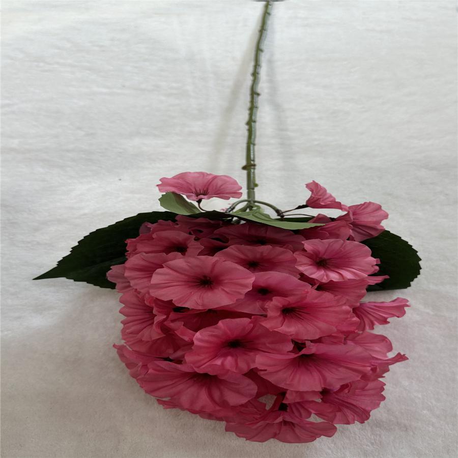 303001736883-galerias el triunfo