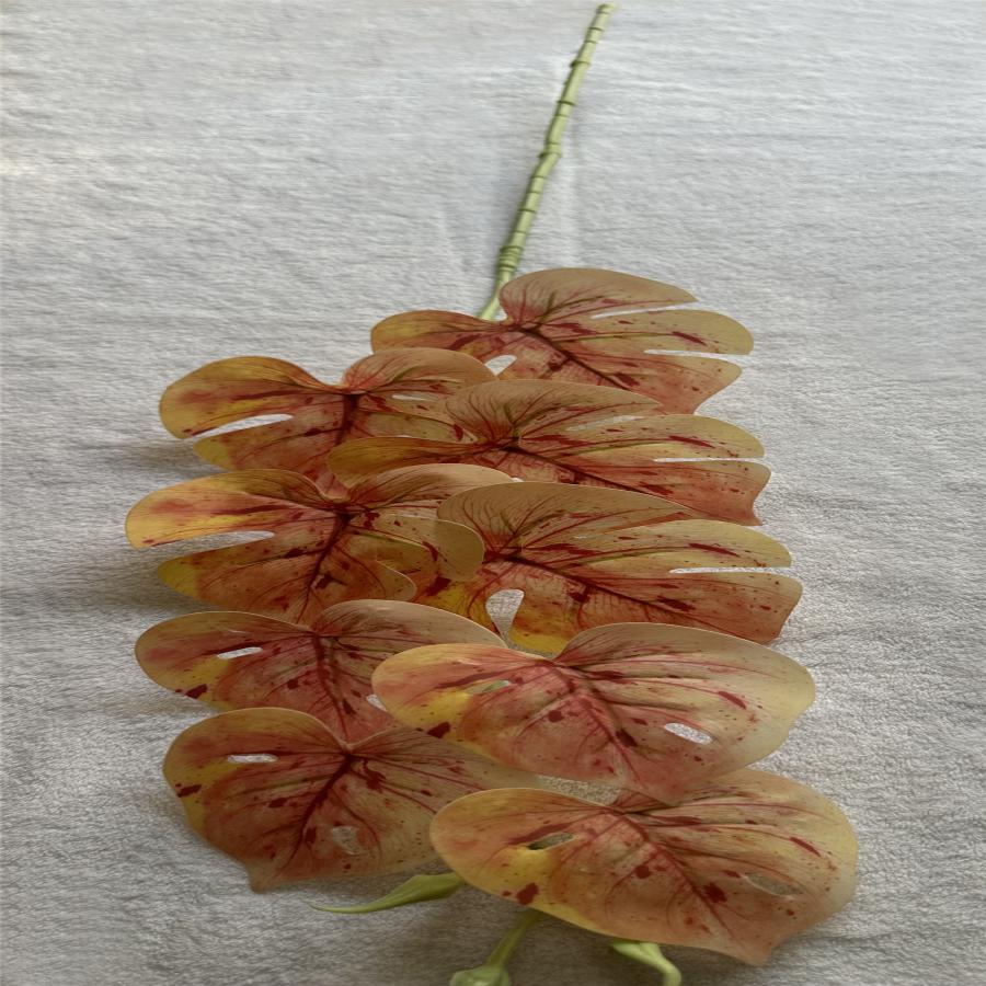 303001736898-galerias el triunfo