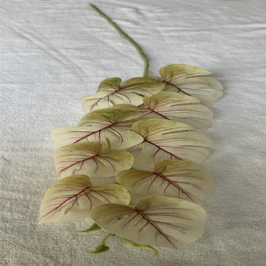 303001736900-galerias el triunfo