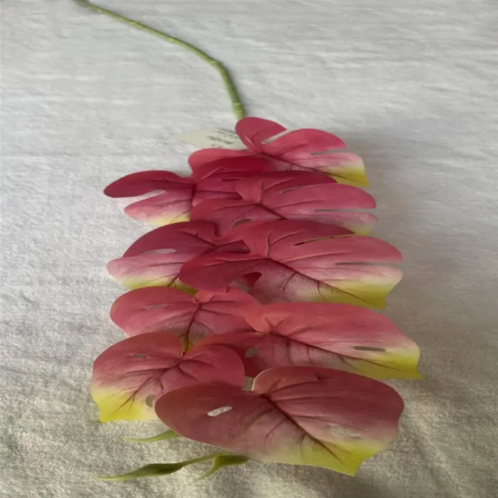 303001736901-galerias el triunfo