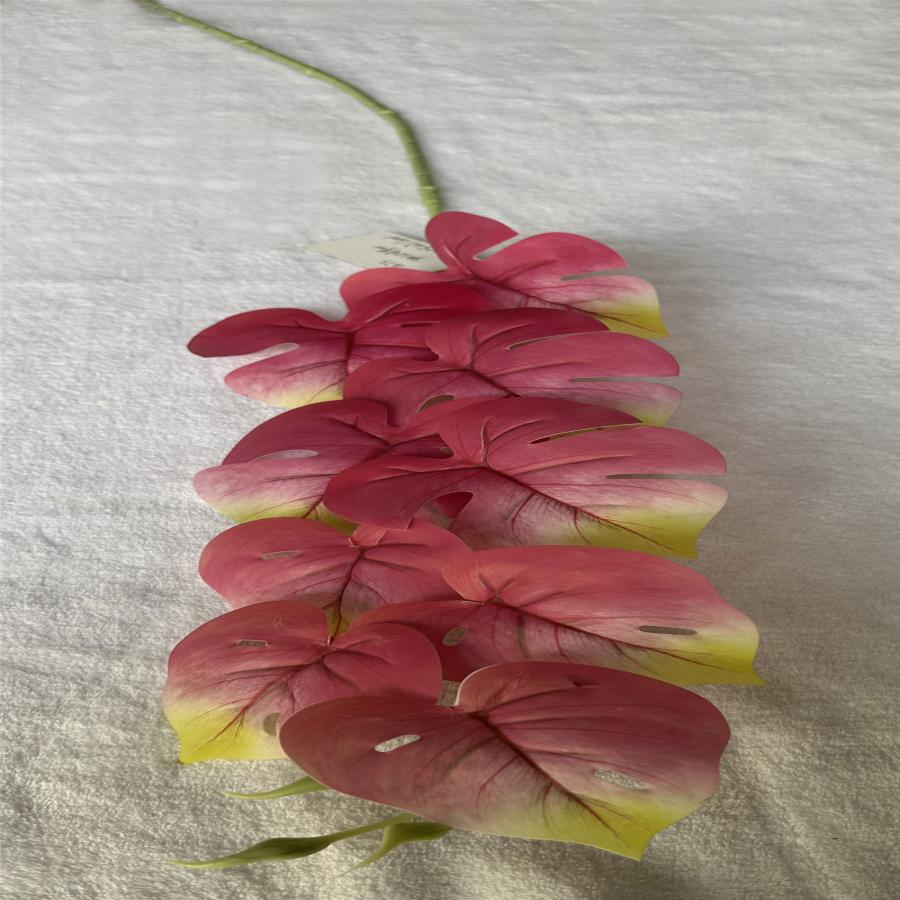 303001736901-galerias el triunfo