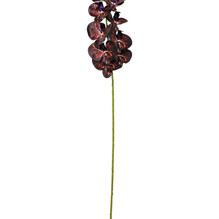 Vara de orquídea café de 15x97x0.1cm
