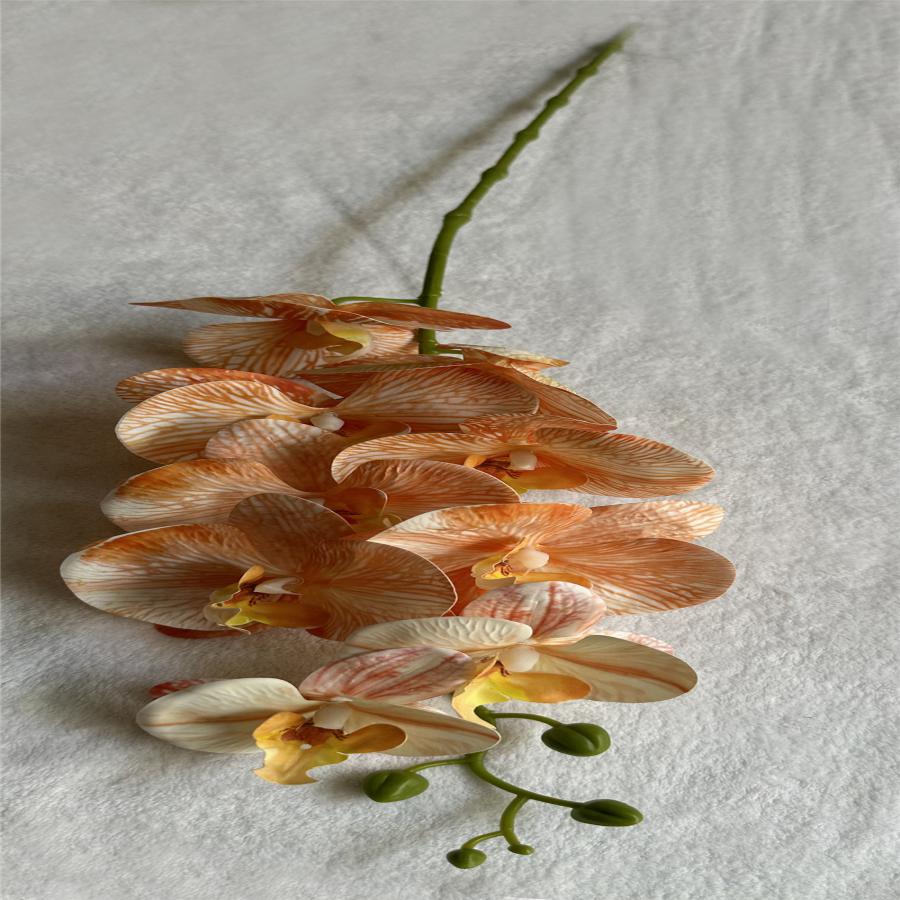 303001736916-galerias el triunfo