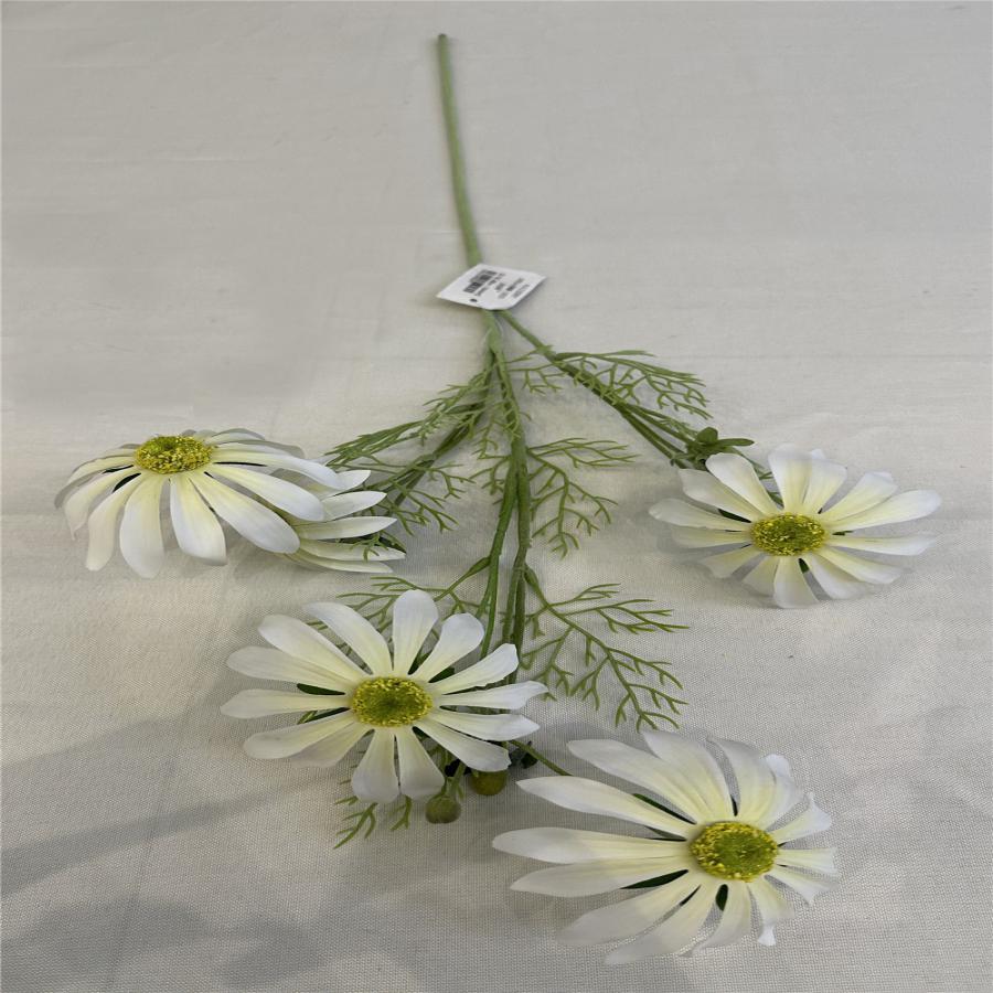 303001736948-galerias el triunfo