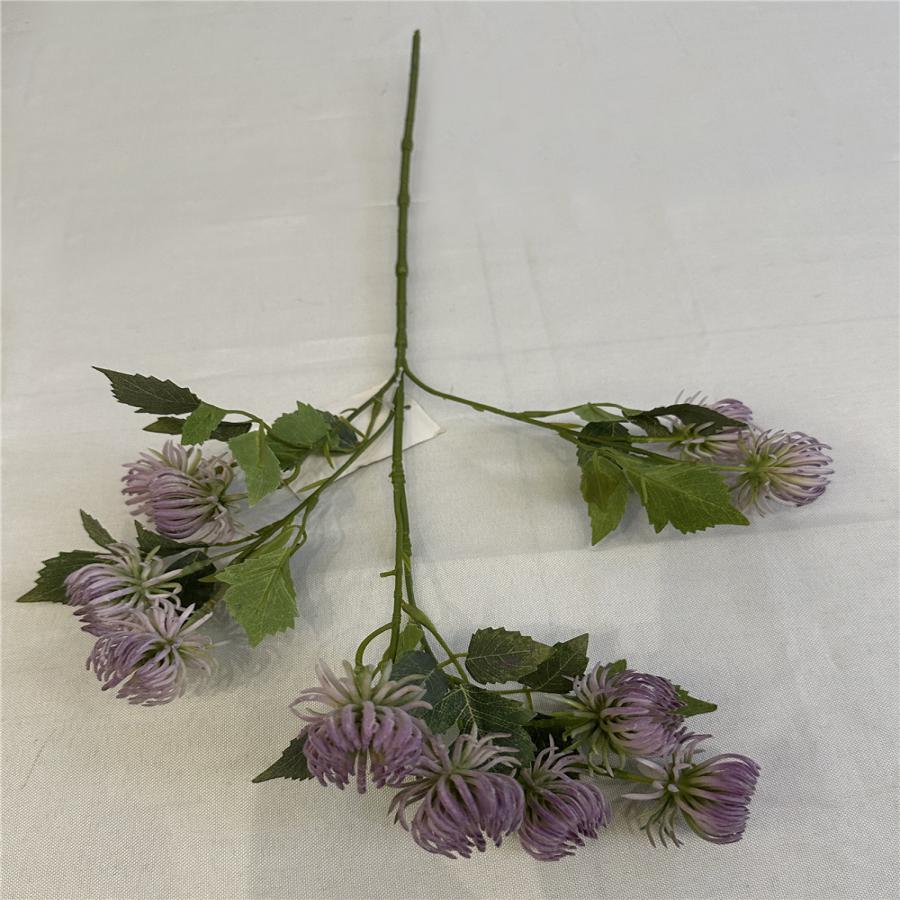 303001736954-galerias el triunfo