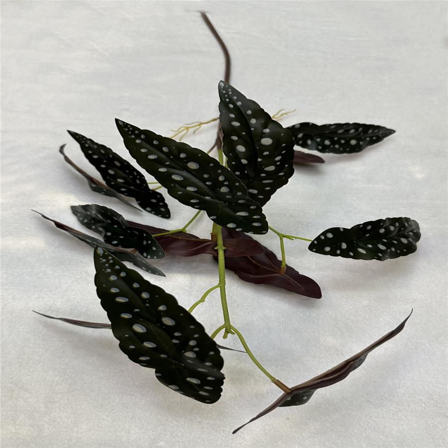 304001736024-galerias el triunfo