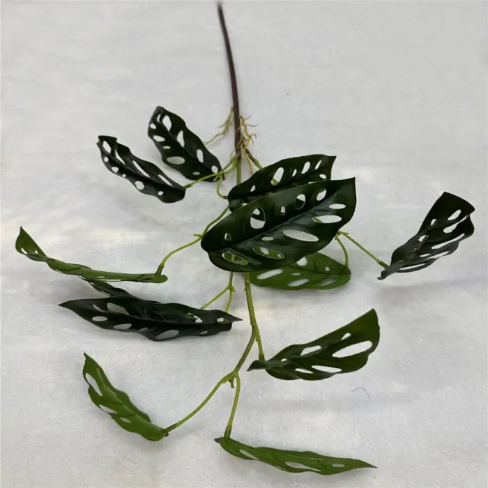 304001736025-galerias el triunfo