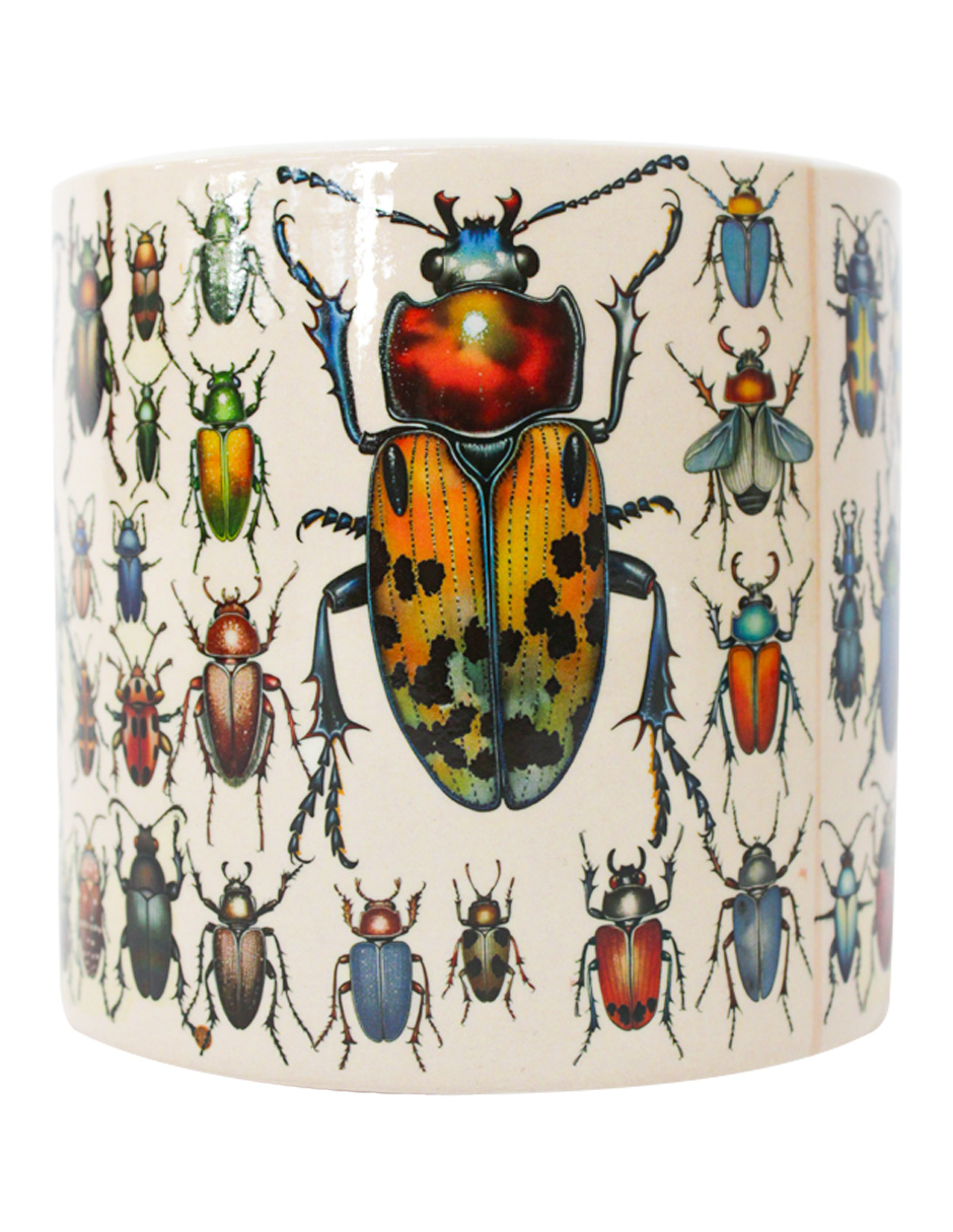 093072024253-galerias el triunfo