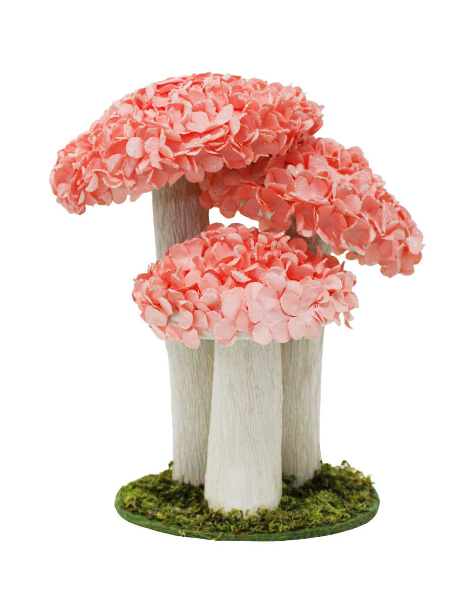 100307378751-galerias el triunfo