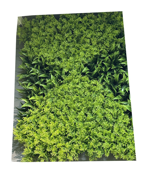 301001736294-galerias el triunfo