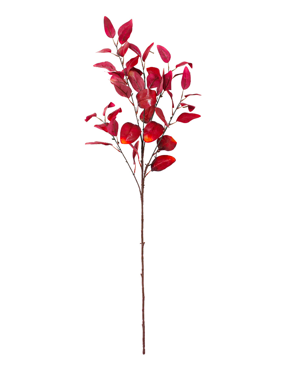 301001736981-galerias el triunfo